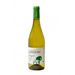 Cépage Viognier